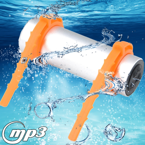 8GB USB Rechargeable Swimming Sport IPX8 Waterproof MP3 Player with FM Stereo (Silver)